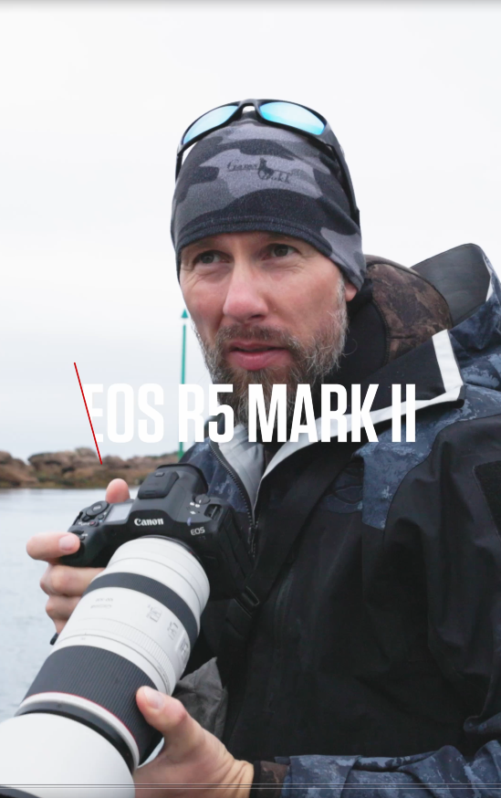 EOS R5 Mark II: Die persönlichen Highlights der EOS R5 Mark II für die Canon Ambassadore Robert Marc Lehmann, Nicolai Deutsch und Martin Bissig